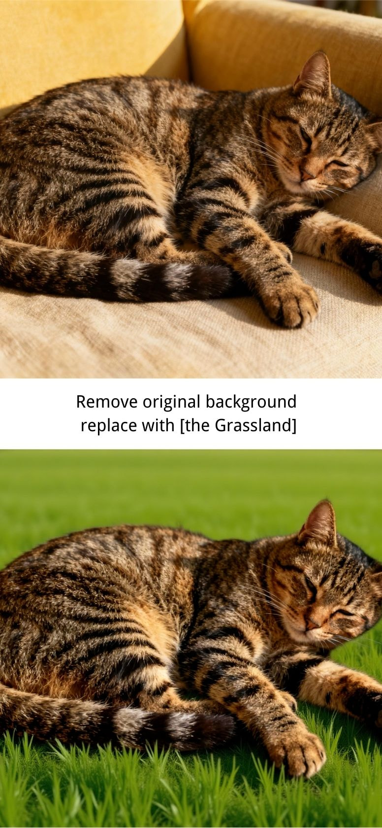 AI Photo Editor Background